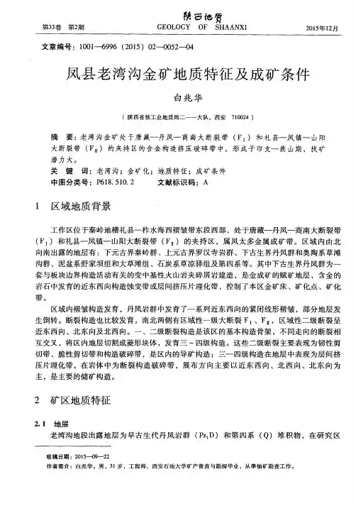凤县老湾沟金矿地质特征及成矿条件