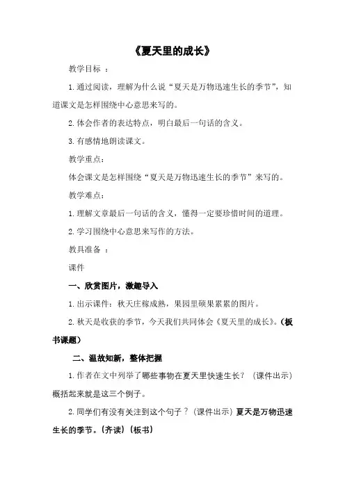 《夏天里的成长》
