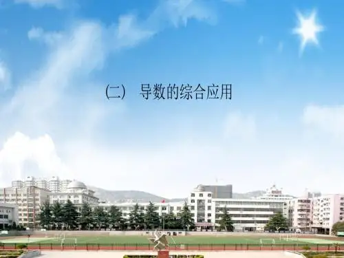 2018届高三数学二轮复习课件：专题二函数、不等式、导数2.4.2导数的综合应用