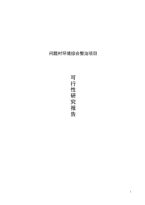 问题村环境综合整治项目可行性研究报告