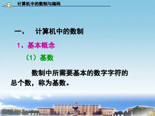 数字与编码