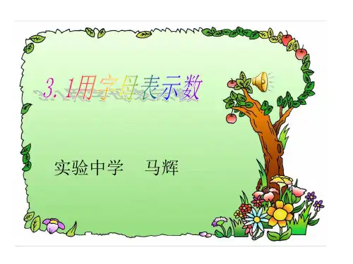 5.1用字母表示数