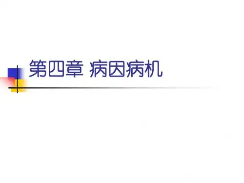 2011第4章 病因病机(2)