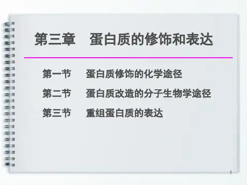 第三章 蛋白质的修饰和表达
