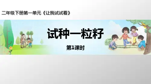 新部编版二年级道德与法治下册《试种一粒籽》精品课件