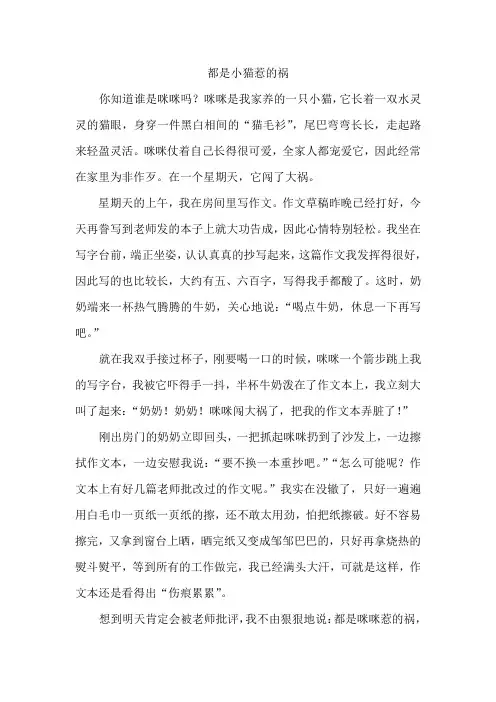 都是小猫惹的祸