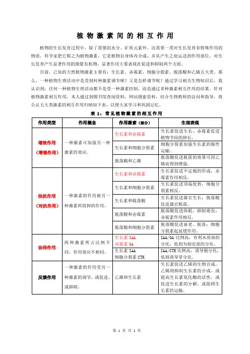 植物激素间的相互作用 2