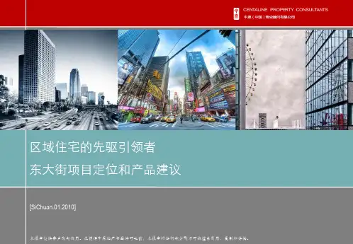 【项目管理】中原_成都新希望东大街项目定位和产品建议_206PPT_XXXX年