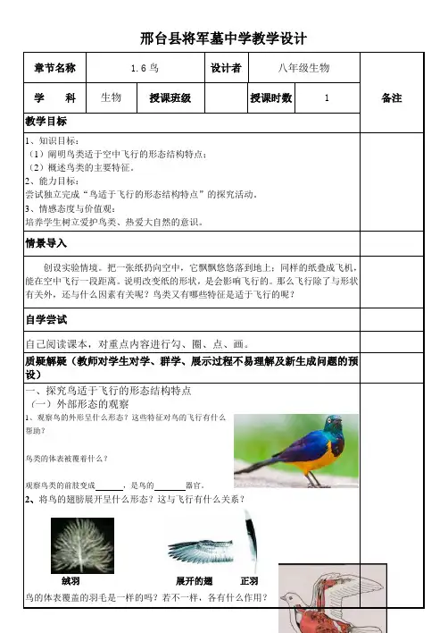 生物人教版八年级上册鸟.6鸟