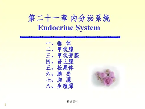 系统解剖学内分泌(1)