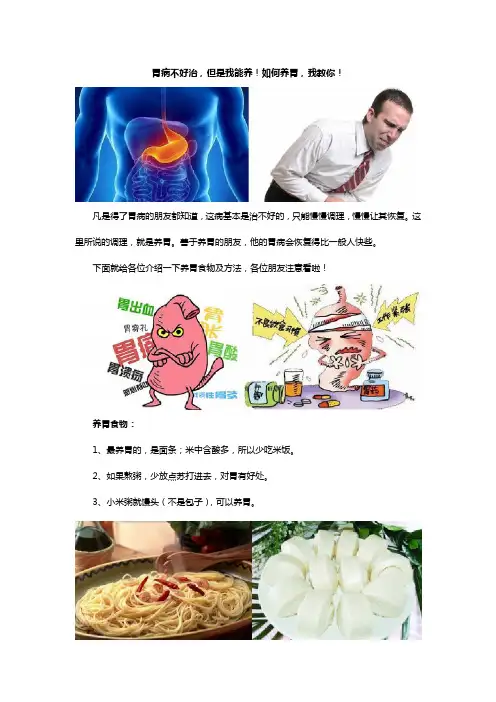 胃病不好治,但是我能养!如何养胃,我教你!