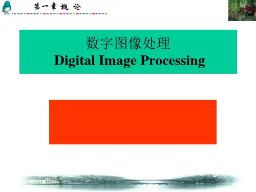 宁波大学数字图像处理第一章