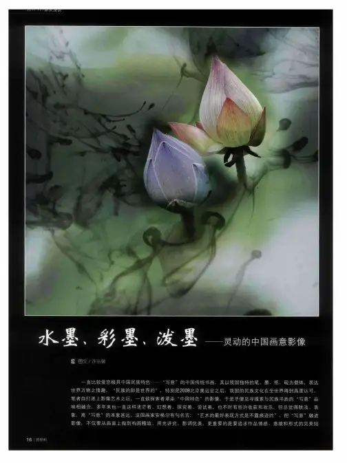 水墨、彩墨、泼墨——灵动的中国画意影像