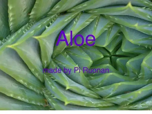 Aloe