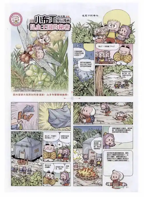 昆虫王国的秘密