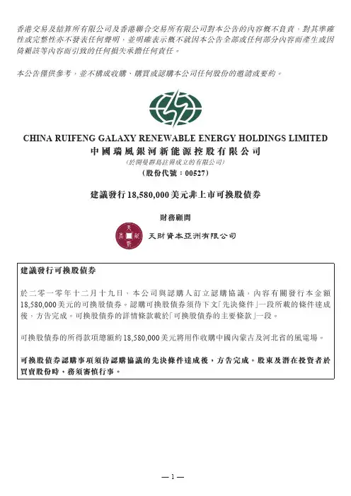 中国瑞风银河新能源发行可换股债券详情