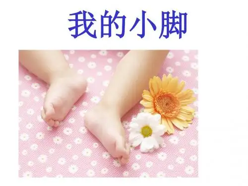 小班教案-我的小脚