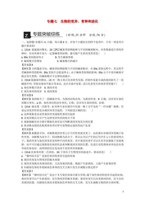 新高考高考生物二轮复习 专题突破综练 专题7 生物的变异、育种和进化