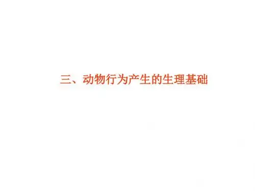 高二生物动物行为产生的生理基础2