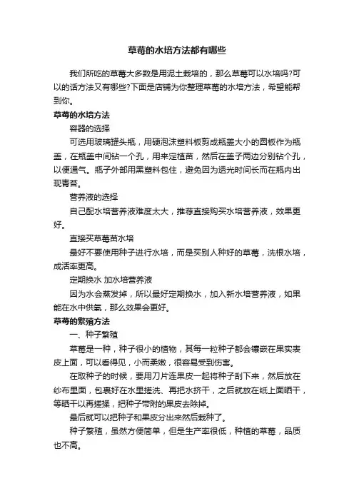草莓的水培方法都有哪些