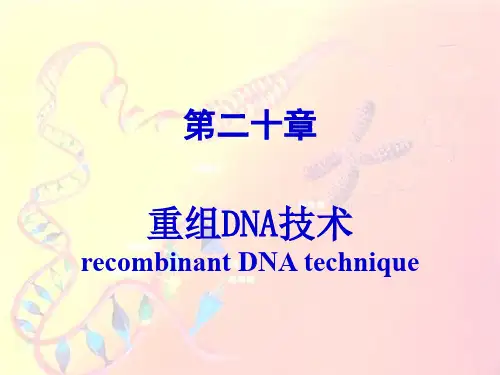 第20章重组DNA技术