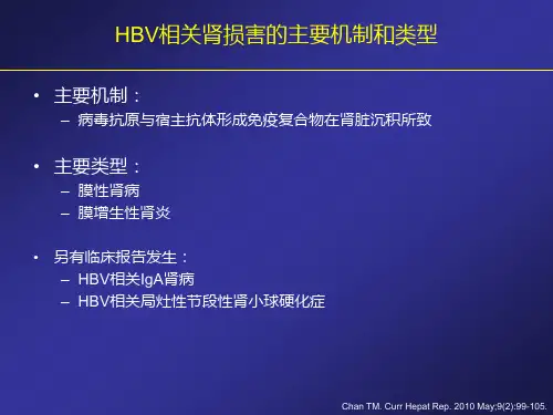 核苷类药物肾损伤的机制