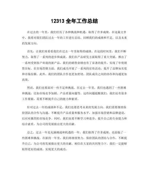 12313全年工作总结