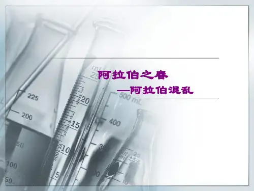 阿拉伯之春_2