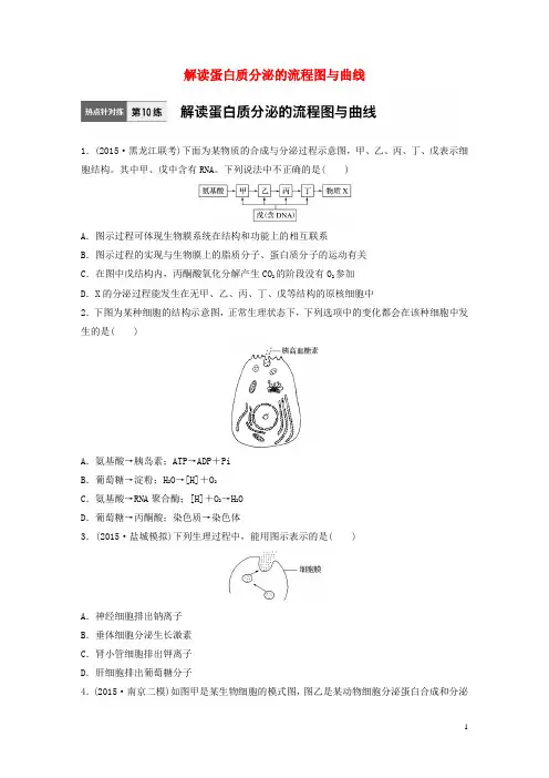 高考生物一轮复习 71练 第10练 解读蛋白质分泌的流程图与曲线