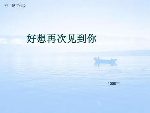 初二记事作文《好想再次见到你》1000字(总13页PPT)