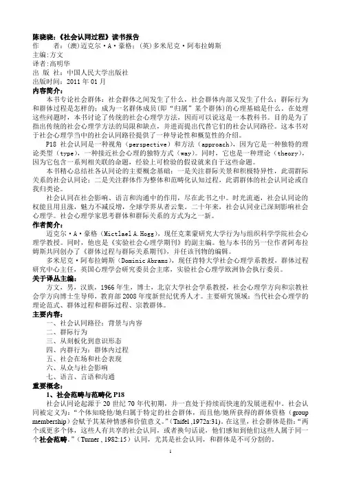 社会认同过程读书报告