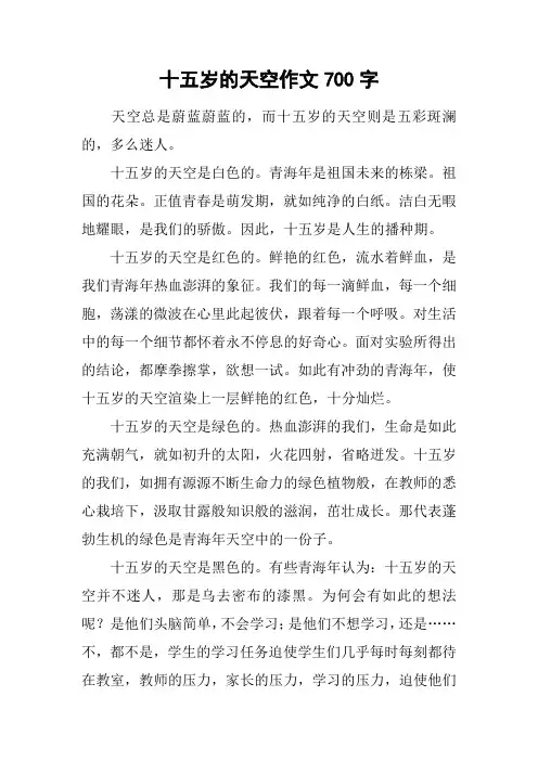 十五岁的天空作文700字