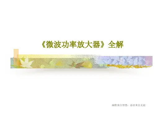 《微波功率放大器》全解42页PPT