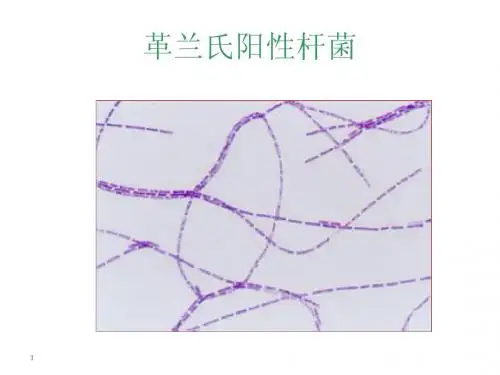 饮料微生物知识培训5