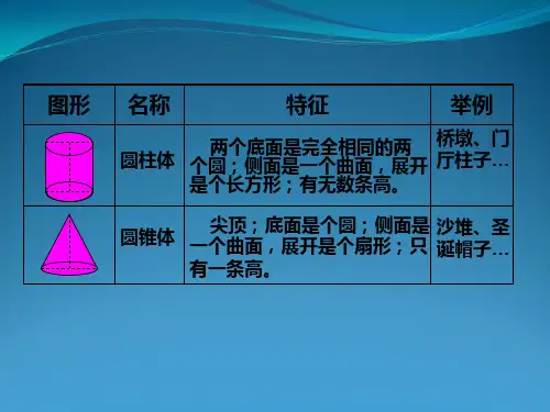 圆柱和圆锥的整理与复习