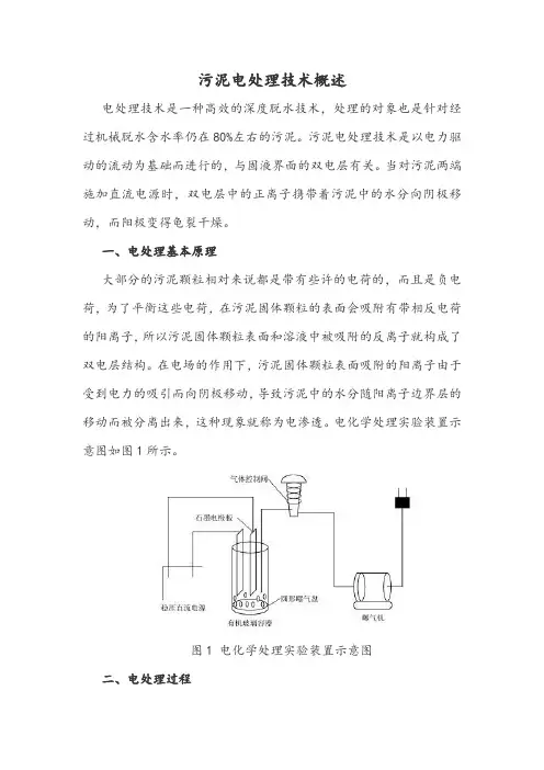 污泥电处理技术概述