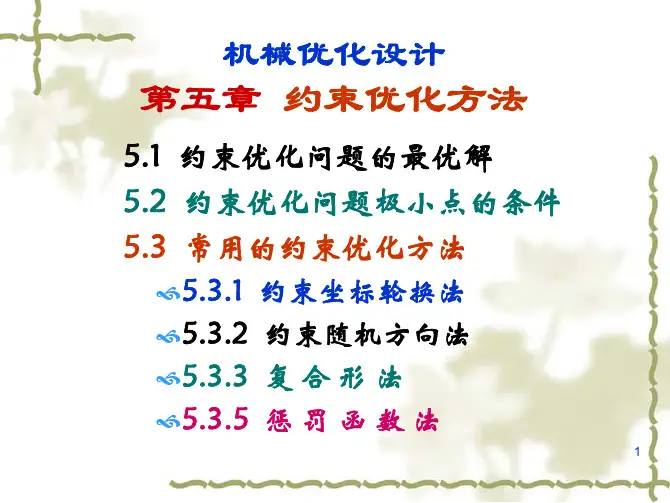第5章 约束优化方法