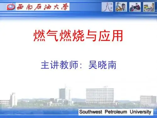 燃气燃烧第十一章