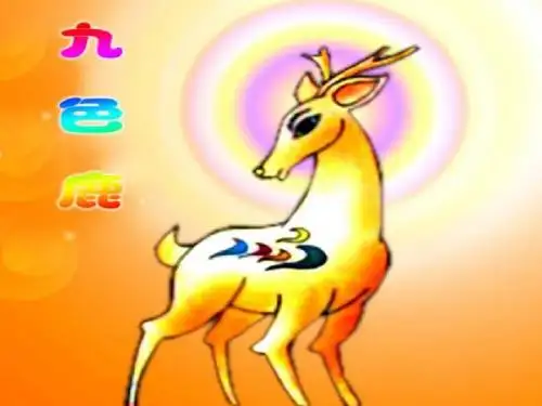 《九色鹿》教学课件二