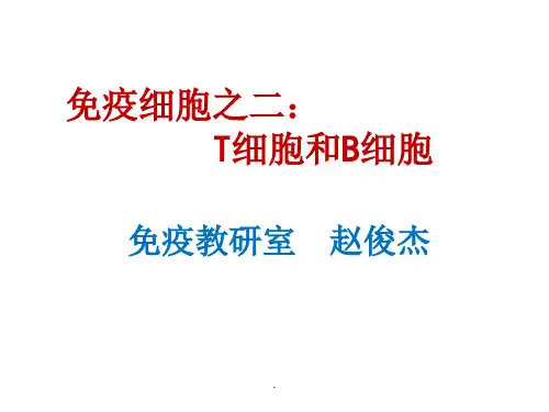 第9章 T淋巴细胞和B淋巴细胞