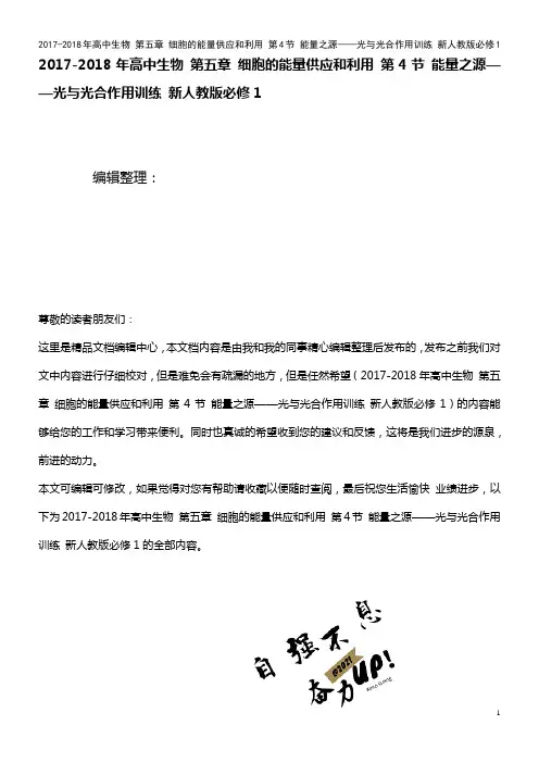 高中生物 第五章 细胞的能量供应和利用 第4节 能量之源——光与光合作用训练 新人教版必修1(202