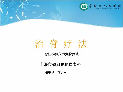 正脊治疗ppt课件