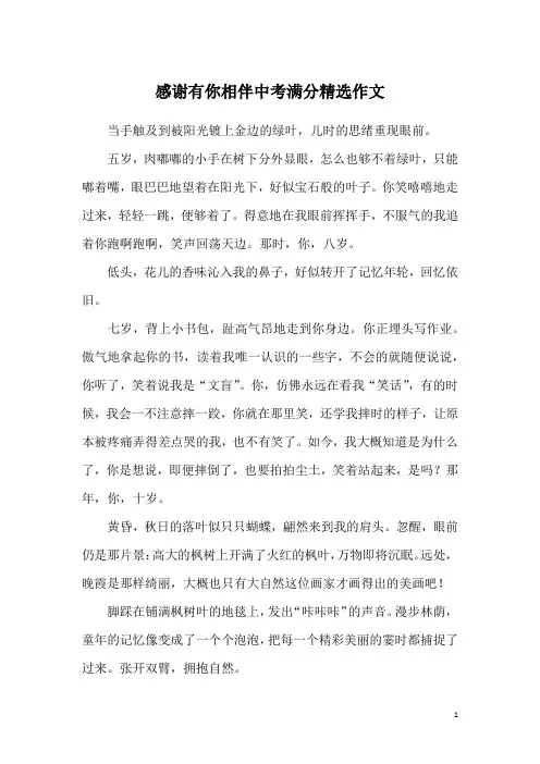 感谢有你相伴中考满分精选作文
