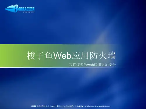 WAF技术概述ppt课件