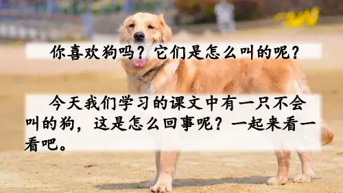 14 小狗学叫 精品课件