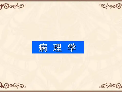 【病理学】弥散性血管内凝血(DIC)  ppt课件