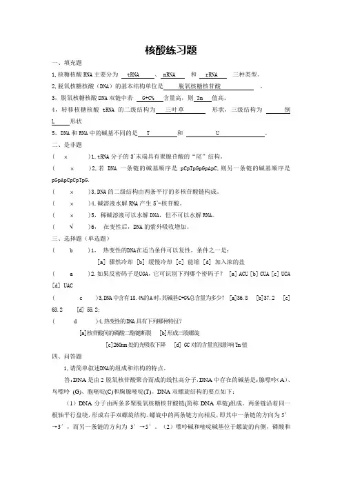 核酸练习题答案