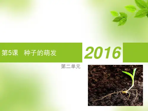 四年级下科学教科版25种子的萌发