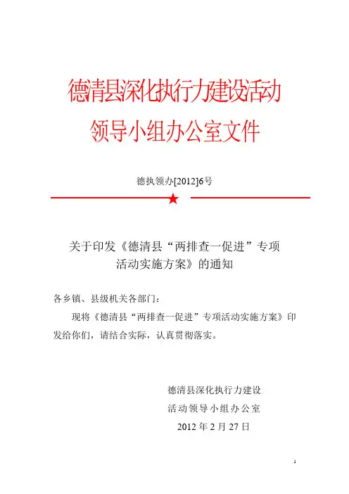 “两排查一促进”专项