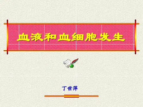 血液和血细胞发生